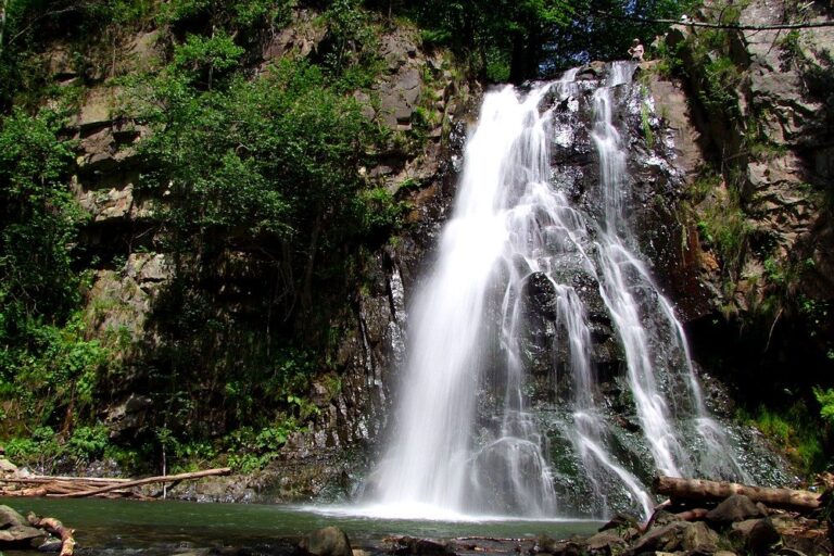 Pe plaiurile mioritice