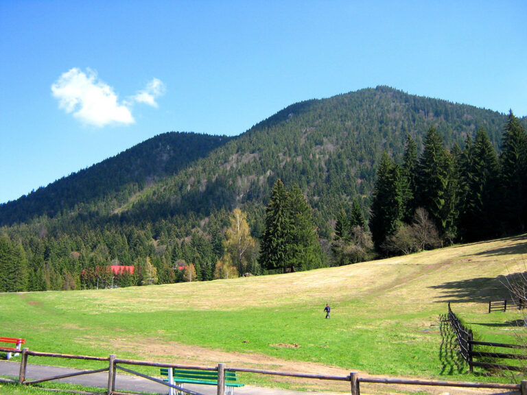 De ce sa te duci la Poiana Brasov