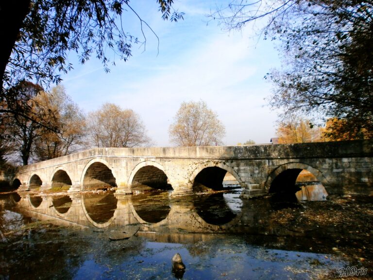 Iubitorilor de Natura