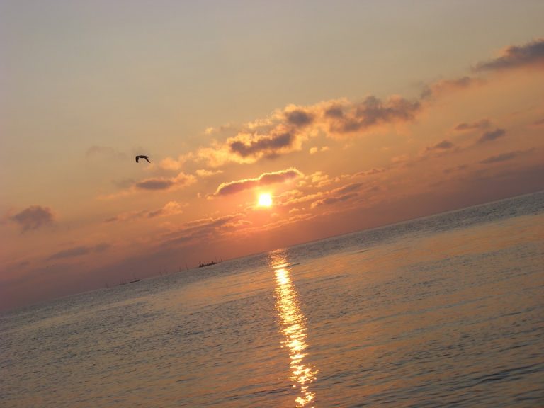 Zile de iarna, cu gandul la mare, la Costinesti